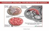 PLACENTATION : STRUCTURE , TYPE AND PHYSIOLOGY OF …