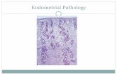 Endometrial Pathology