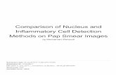Methods on Pap Smear Images Inflammatory Cell Detection ...