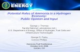 Potential Roles of Ammonia in a Hydrogen Economy: Public ...