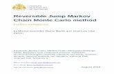 Reversible Jump Markov Chain Monte Carlo method