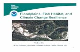 Floodplains, Fish Habitat, and Climate Change Resilience