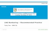 LNG Bunkering Recommended Practice
