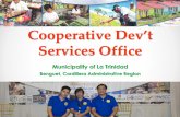 Cooperative Dev’t - La Trinidad, Benguet