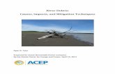 River Debris: Causes, Impacts, and Mitigation Techniques