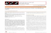 W J R World Journal of Radiology - .NET Framework