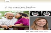 Understanding Strokes