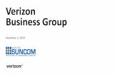 Verizon Business Group - DMS