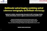 Multimodal optical imaging combining optical coherence ...