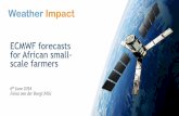 ECMWF forecasts for African small- scale farmers