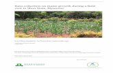 Data collection on maize growth during a field visit in ...