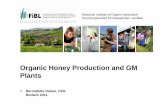 Organic Honey Production and GM Plants