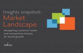 Insights Snapshot: Market Landscape - Radius Global