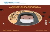 Gender and Pandemic URGENT CALL FOR ACTION