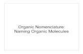 Organic Nomenclature: Naming Organic Molecules