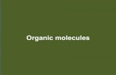 Organic molecules - Napa Valley College Pages