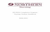 RN-BSN Completion Program Nursing Student Handbook 2020 …