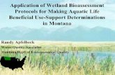 Application of Wetland Bioassessment Protocols for Making ...