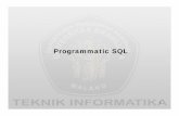 8. Programatic SQL.ppt