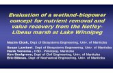 Evaluation of a wetland-biopower concept for nutrient ...
