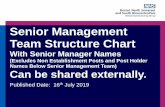 Senior Management Team Structure Chart