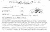 -'A' Odontoglossum Alliance Newsletter