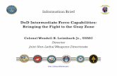DoD Intermediate Force Capabilities: Bringing the Fight to ...