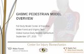 GHBMC PEDESTRIAN MODEL OVERVIEW - UNECE Wiki