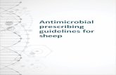 Antimicrobial prescribing guidelines for sheep