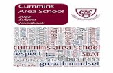 Cummins Area School