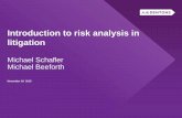 Introduction to risk analysis in litigation