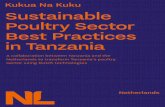 Kukua Na Kuku Sustainable Poultry Sector Best Practices in ...
