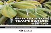 EFFECTS OF LOW TEMPERATURE on Plants