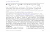Prevalence, mechanical transmission and impact of ...