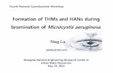Formation of THMs and HANs during brominationof ...