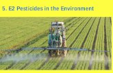 Pesticides in the Environment - University of Minnesota