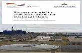 Biogas potential in selected waste water treatment plants