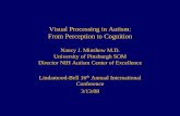 Visual Processing in Autism: From Perception to Cognition