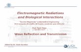 UNIVERSITÀ DI PISA Electromagnetic Radiations and Bi l i ...