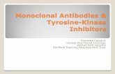 Monoclonal Antibodies & Tyrosine-Kinase Inhibitors