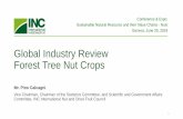 Global Industry Review Forest Tree Nut Crops