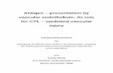 Antigen – presentation by vascular endothelium: its role ...