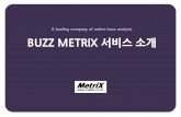 A leading company of online buzz analysis BUZZ METRIX 서비스소개