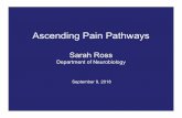 Ascending pathways 2019 (00000002) [Read-Only]