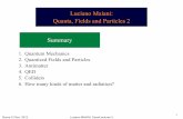 Luciano Maiani: Quanta, Fields and Particles 2 Summary