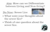 Aim: How can we Differentiate between Living and Non ...