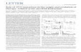 Role of TP53 mutations in the origin and evolution of ...