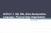 MODULE 3: SQL DML (Data Manipulation Language), Physical ...