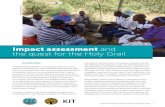 Impact assessment and the quest for the Holy Grail