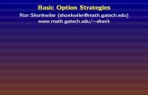 Basic Option Strategies - gatech.edu